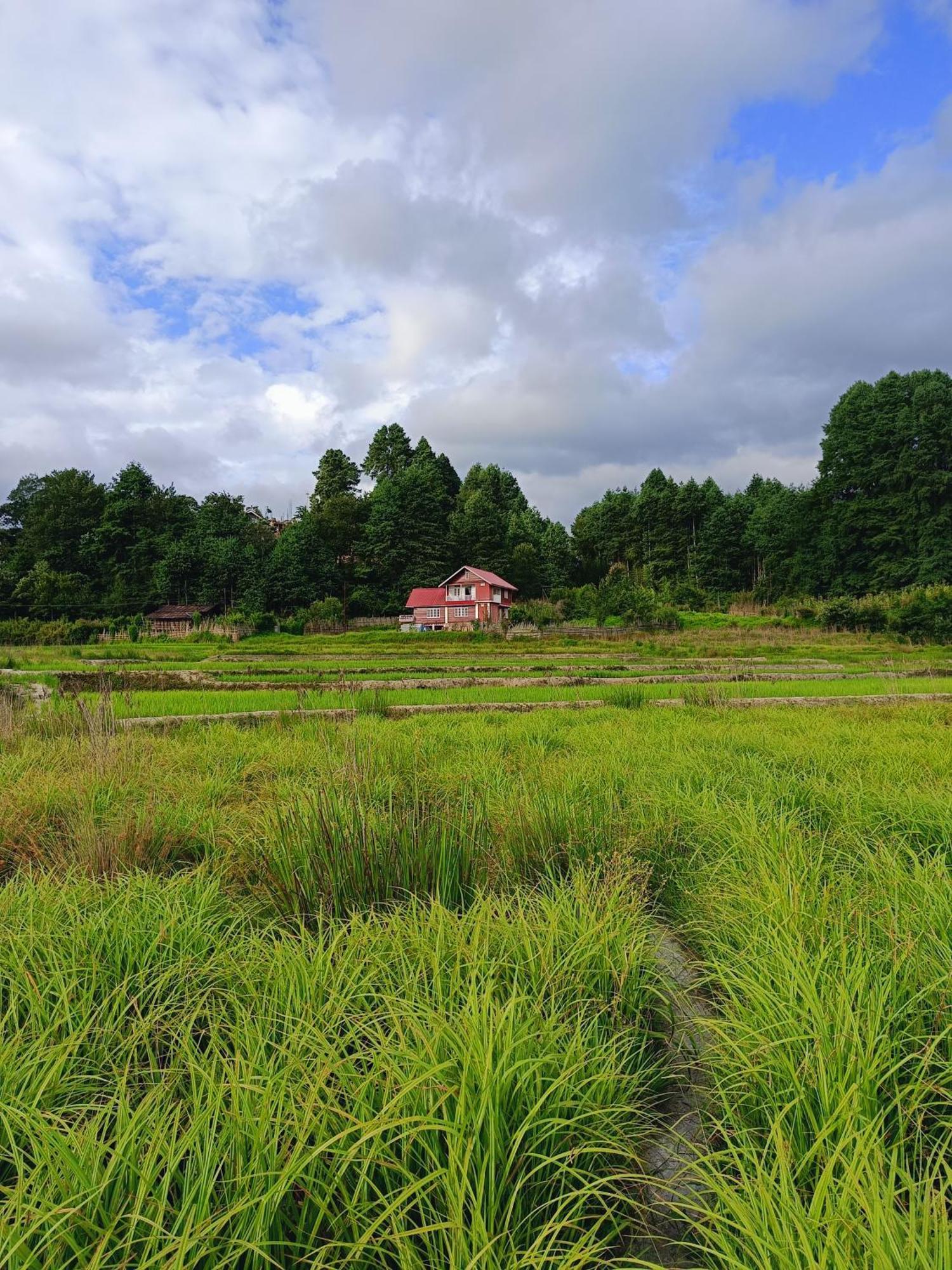 Bohang Cottage Hapoli Exterior photo